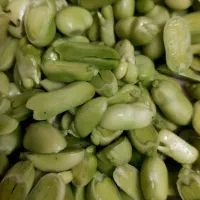 باقالامقشر شده