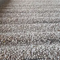 ماشین سازی مدرن|ماشین‌آلات صنعتی|رفسنجان, |دیوار