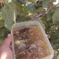 عسل طبیعی