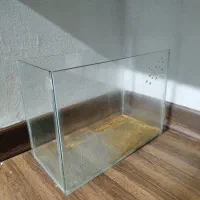 اکواریوم همستر