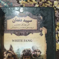کتاب رمان زیبا|کتاب و مجله ادبی|شاهین‌شهر, شهرک سایت|دیوار