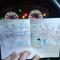 سگ پامر نژادار|سگ|یاسوج, |دیوار