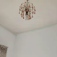 دو عدد لوستر