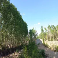 330-متر-باغچه-زمان-آباد