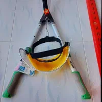 شمشادزن تایوانی