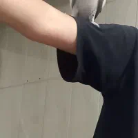 عروس هلندی دستی ماده|پرنده|کرج, محمد آباد|دیوار