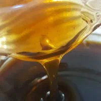 شیره ی خرمای