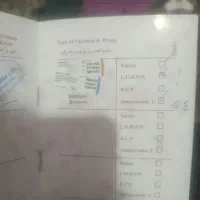 واگذاری سگ شناسنامه دار|سگ|سیرجان, |دیوار