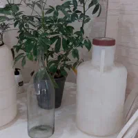 دبه و بطری آبغوره