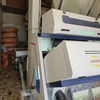 لاشه و برنج هاشمی|خوردنی و آشامیدنی|رضوانشهر, |دیوار