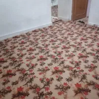 اجاره خانه ۱۵۰ متری ۲ خوابه  در سعدیه شمالی|اجارهٔ آپارتمان|شیراز, سعدیه شمالی|دیوار