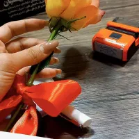 مطب زنان .مامایی. بارداری. زگیل تناسلی