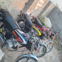 هندا مزایده در حد