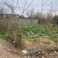 فروش۴۶۰ زمین باکاربری مسکونی محدوده گلسار