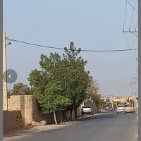 زمین‌ بر خیابان امام غربی جلال اباد