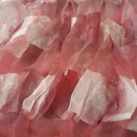 دوتا پرده توری