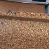 شرکت خدمات سمپاشی دارای مجوز|خدمات نظافت|بهنمیر, |دیوار