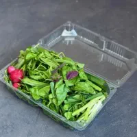 سبزی خوردن تازه پاک شده