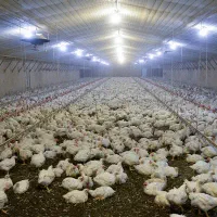 اموزش و کسب درآمد بالا|خدمات آموزشی|تهران, امیریه|دیوار