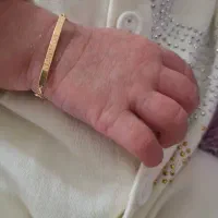 طلا گمشده|اشیا|قم, شهرک فاطمیه|دیوار