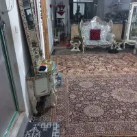 آپارتمان ۸۰ متری در هفده شهریور شبی ۱۷۰۰۰۰۰|اجارهٔ کوتاه‌مدت آپارتمان و سوئیت|مشهد, هفده شهریور|دیوار
