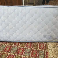 تشک نوجوان مدل رویا