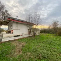 650متر ویلای دل باز مسیر رشت فومن سندتک برگ|فروش خانه و ویلا|رشت, پسیخان|دیوار