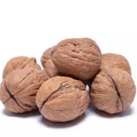 گردو کاغذی قیمت مقطوع درجه یک