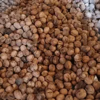 گردو فروشی