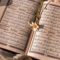 سرکتاب فال