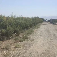 زمین باغ|فروش زمین و ملک کلنگی|قم, محمد آباد|دیوار