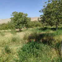 فروش باغ ویلایی در باغ شهر اسکو|فروش زمین و ملک کلنگی|اسکو, |دیوار