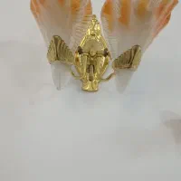 روشنایی گاز