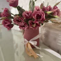 گل ویرا کیش