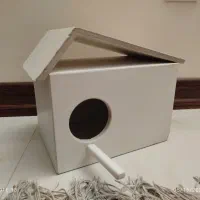 لونه چوبی پرنده