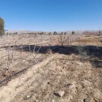 زمین  ۱۰۰۰ متری تا ۵۰۰۰متری