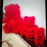 خرس ولنتاینی زیبا