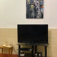 اجاره روزانه/هفتگی/ماهانه آپارتمان ۷۰۸۰ متری|اجارهٔ کوتاه‌مدت آپارتمان و سوئیت|گرگان, |دیوار
