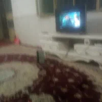 هم-خونه