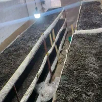 قفسه های قارچ|فروشگاه و مغازه|نقده, |دیوار