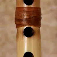 نی هفت بند ایرانی|سازهای بادی|بندرعباس, |دیوار