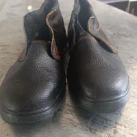 کفش نو