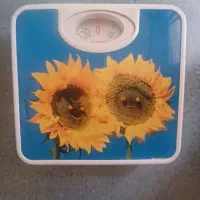 ترازوی وزن کشی عقربه ای