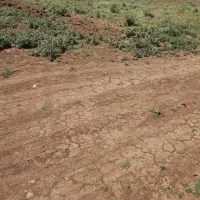 ۵۶۰ متر زمین ویلایی جاده باسمنج به طرف تهران