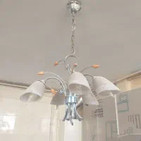 لوستر کار کرده سالم