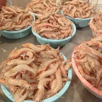 ماهی جنوب|خوردنی و آشامیدنی|رشت, بازار|دیوار