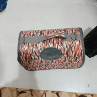 وسایل سگ|لوازم جانبی حیوانات|بندر گناوه, |دیوار