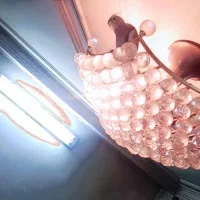 دو عدد عروس هلندی نر و ماده و سخنگو همراه با قفس|پرنده|تهران, ولی آباد|دیوار