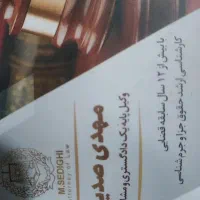 ویزیتور