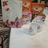 ظروف پذیرایی